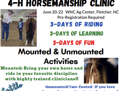 WD 4-H Horse Clinic