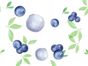 Blueberries and green leaves scattered on a black background