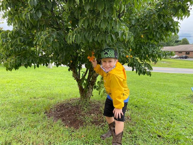 young person beside a tree