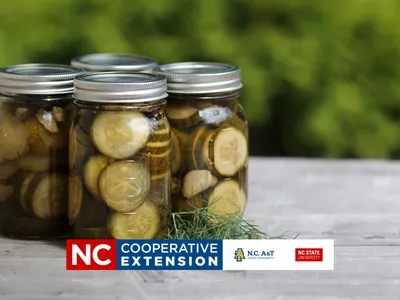jars of pickles