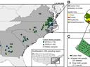 Map of sampled cotton fields in southeastern US with inset field sampling layout and crop legend