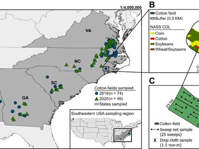 Map of sampled cotton fields in southeastern US with inset field sampling layout and crop legend