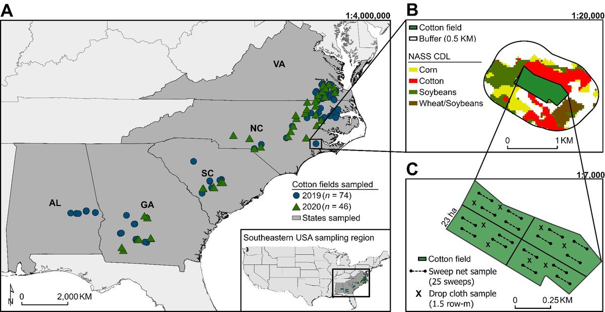 Map of sampled cotton fields in southeastern US with inset field sampling layout and crop legend