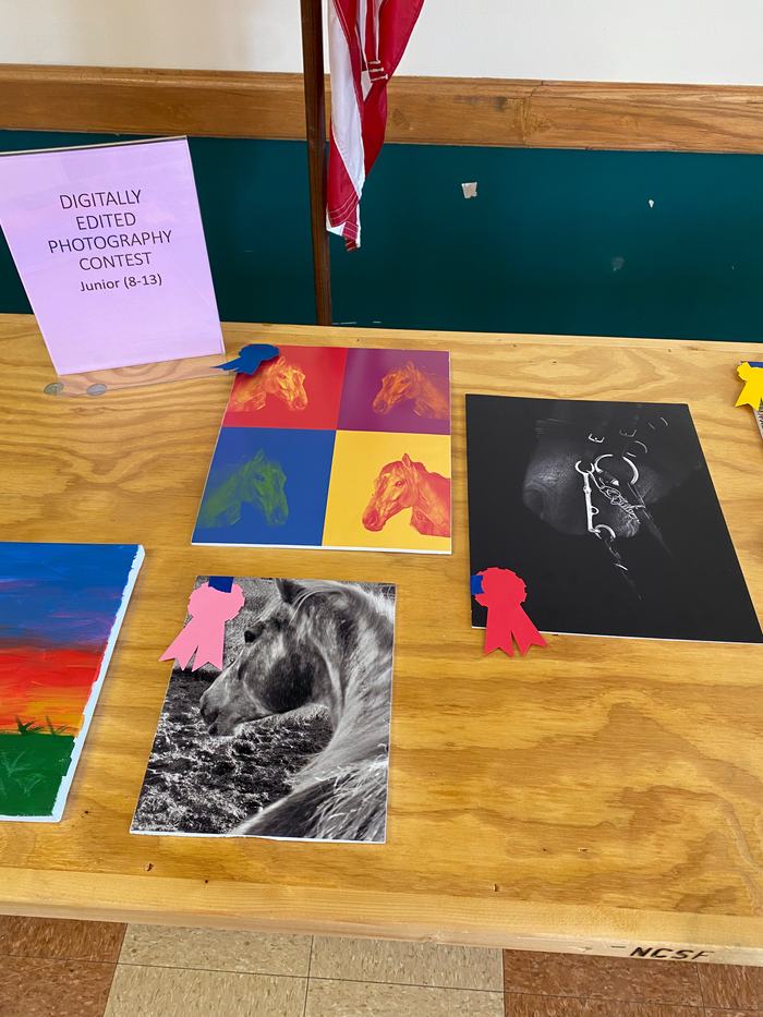 Three different photos of horses that are digitally enhanced. 