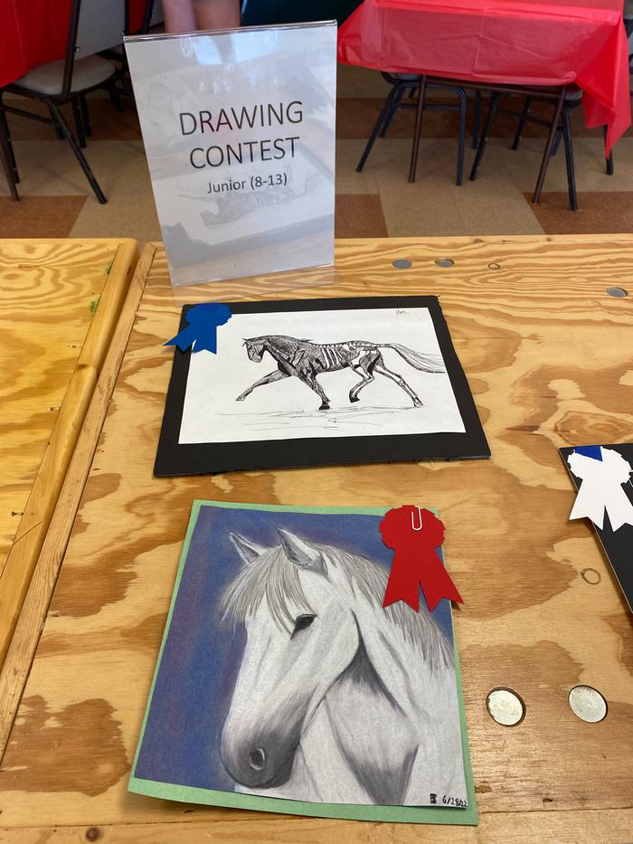 Two drawings, one colored and one black and white.