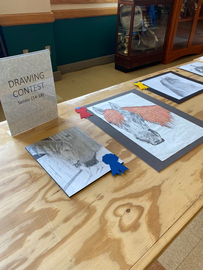 A table with various drawings of horses by contestants. 