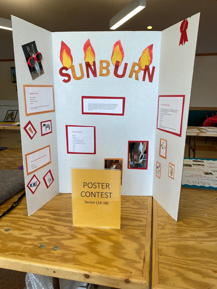 A poster with larger letters spelling out "sunburn."