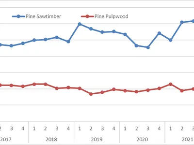 Line chart of Pine Sawtimber and Pine Pulpwood prices ($/ton) by quarter, 2017–2022