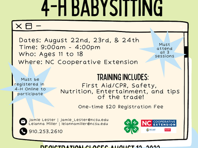 4-H Babysitting