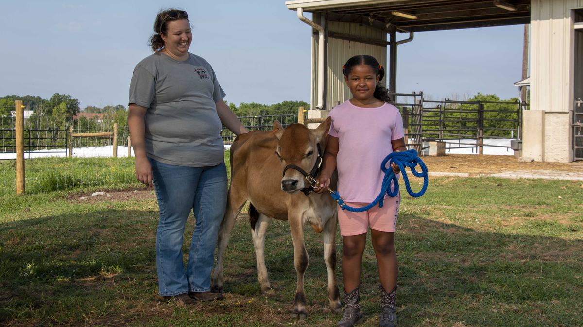 4-H youth in Guilford County learn how to show cows and about the importance of the dairy industry in North Carolina through a Cooperative Extension program.