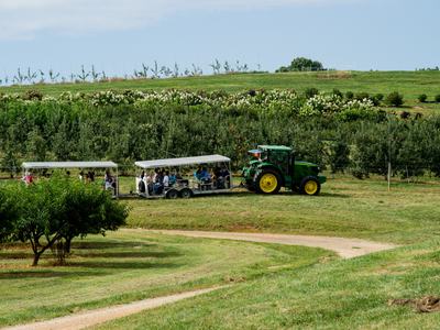 Wagon tour in orchard, Mountain Horticultural Crops Research Station
