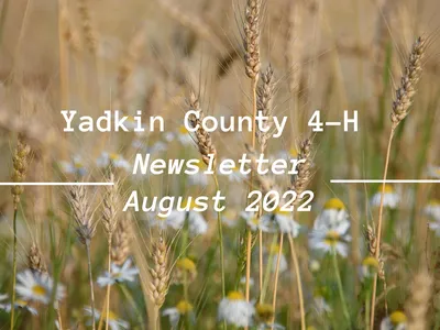 Yadkin County 4-H Newsletter-August edition