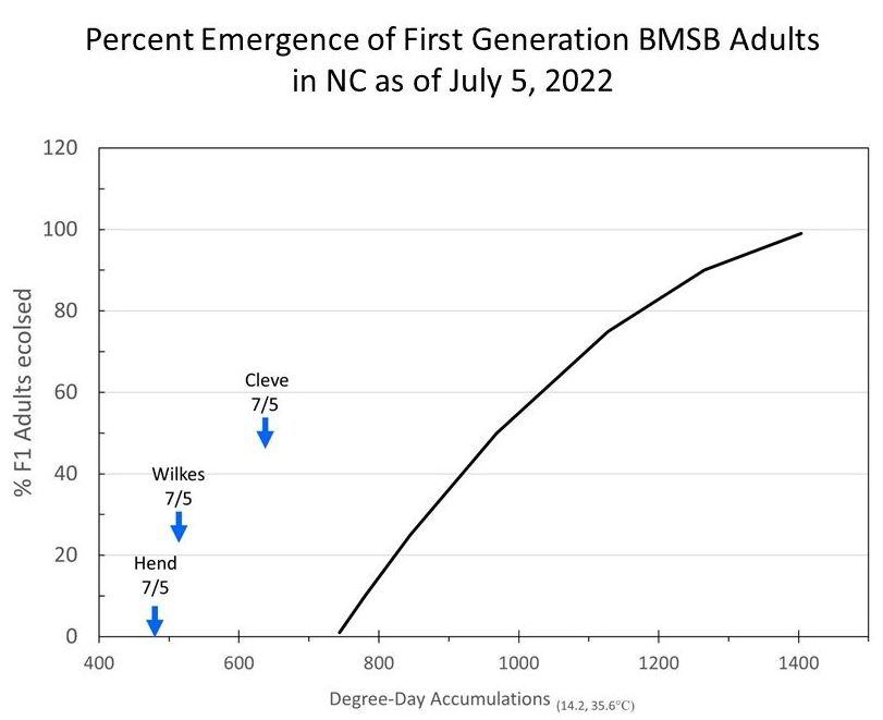 Chart showing brown marmorated stink bug adult emergence for 2022