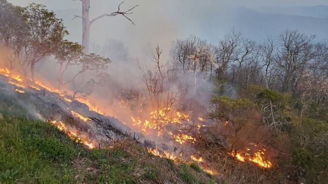 Barnett Branch Fire April 2022