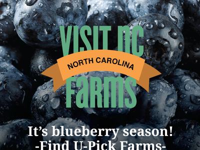 Visit NC Farms App for Local Blueberries