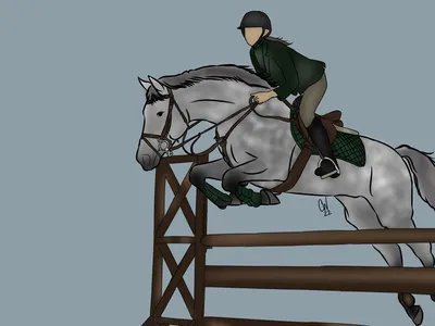 Rider in helmet leaning forward as gray horse clears a wooden show-jump fence.