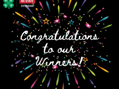 Congratulations to our Winners! Surrounded by fireworks.