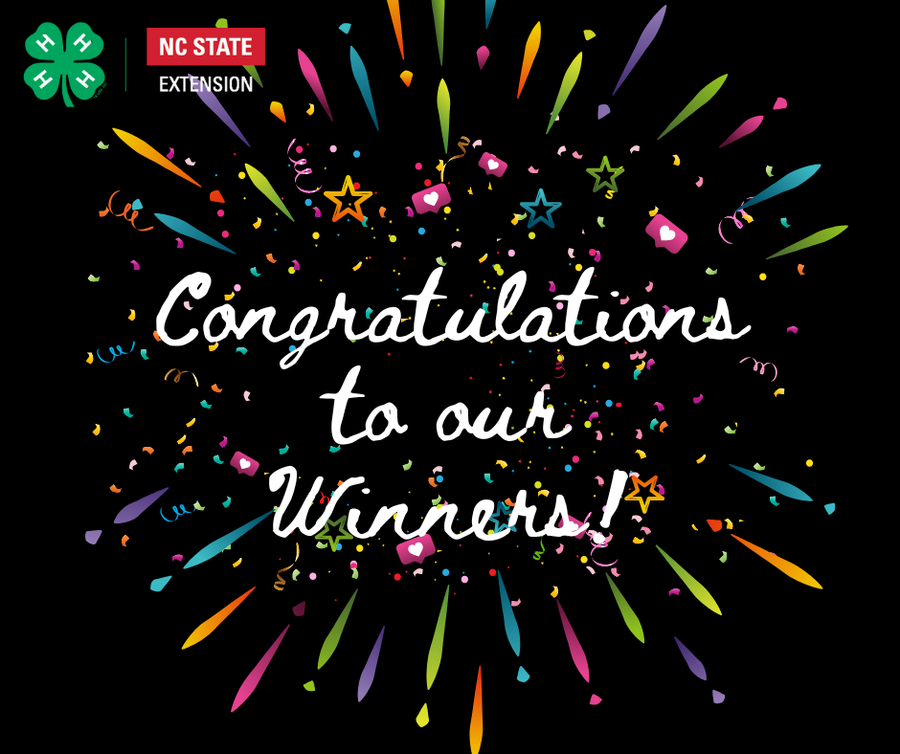 Congratulations to our Winners! Surrounded by fireworks.