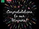 Congratulations to our Winners! Surrounded by fireworks.