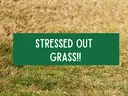 Stressed Out Grass