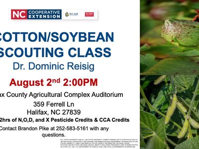 NC Cooperative Extension: COTTON/SOYBEAN SCOUTING CLASS — Aug 2 2:00 PM, Halifax County