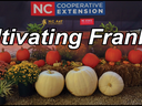 Harvest display of pumpkins, hay bales and mums with banner reading "Cultivating Franklin"