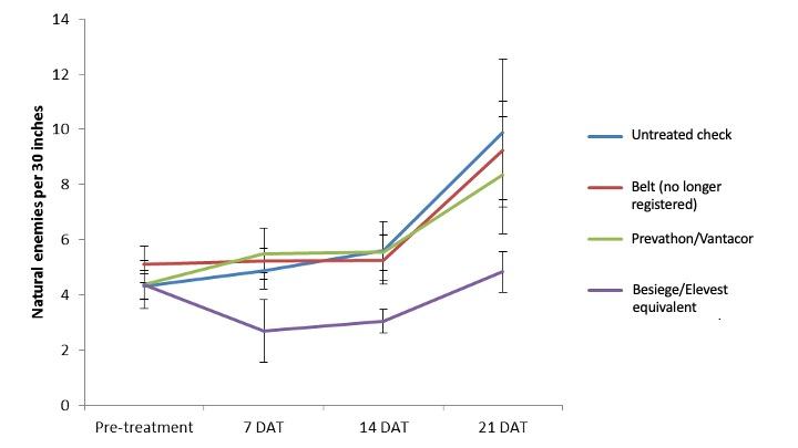  A graph showing four different treatments for natural enemies along with the number of Natural enemies per 30 inches over a 21 day period.