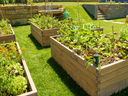 Garden Beds, How to Make a Garden Bed, Raised Garden Beds,