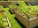 Garden Beds, How to Make a Garden Bed, Raised Garden Beds,