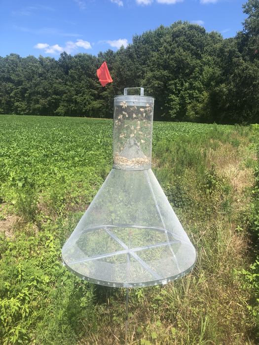 A cylinder on top of a cone is hung on the edge of a field planted with soybean. 