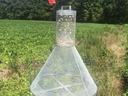 Mesh cone insect trap with red flag mounted in a grassy crop field.