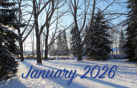 January 2026 on snowy forest background