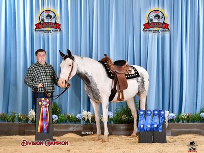 Boy holding saddled white-gray horse at horse show with ribbons; text "Division Champion"