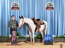 Boy holding saddled white-gray horse at horse show with ribbons; text "Division Champion"