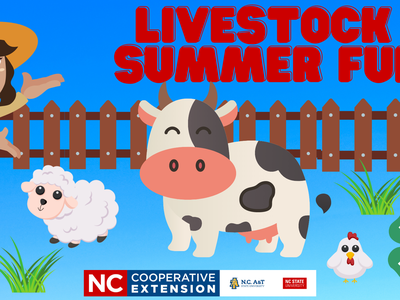 Cartoon farmer with cow, sheep, and chickens by a fence; headline text "LIVESTOCK SUMMER FUN"