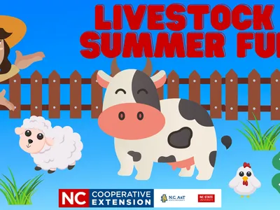 Cartoon farmer with cow, sheep, and chickens by a fence; headline text "LIVESTOCK SUMMER FUN"