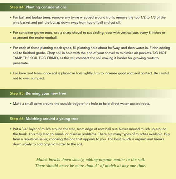 image of publication of how to care for trees