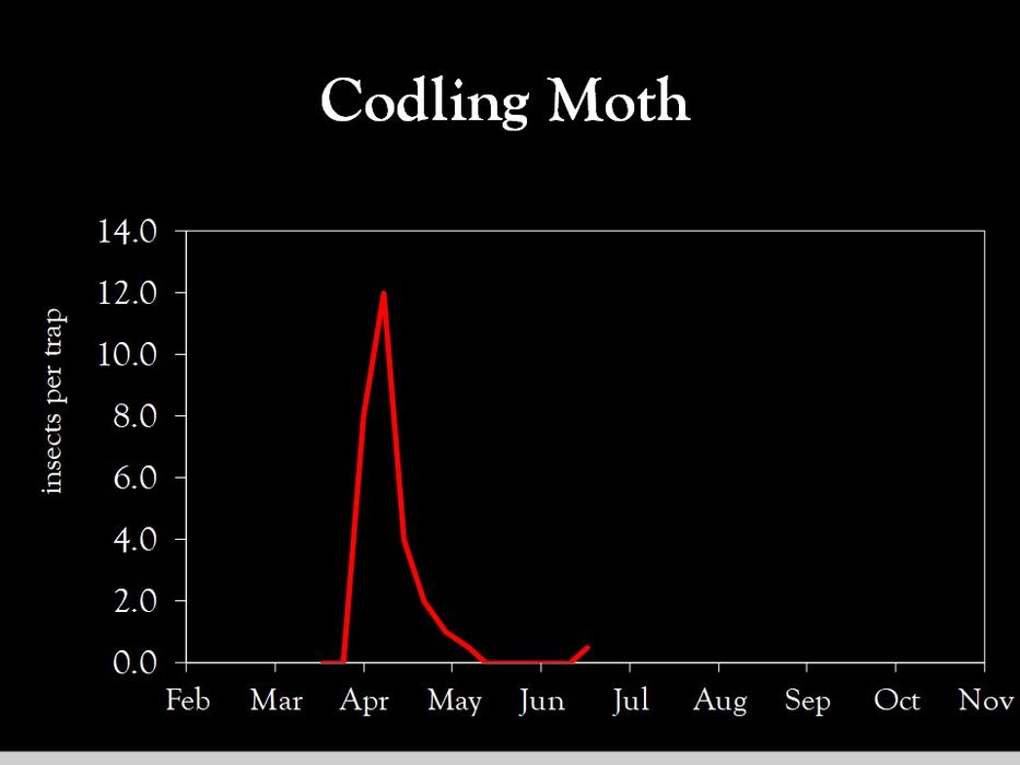 Chart showing insect population trends