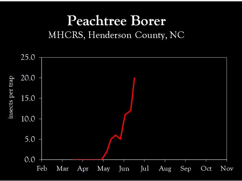 Chart showing insect population trends