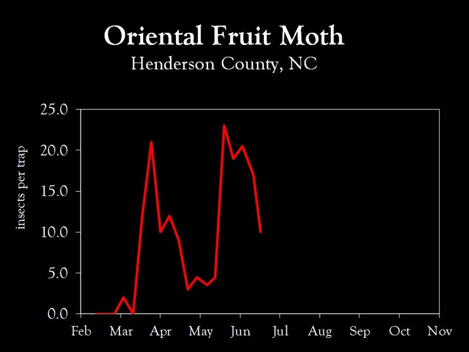Chart showing insect population trends