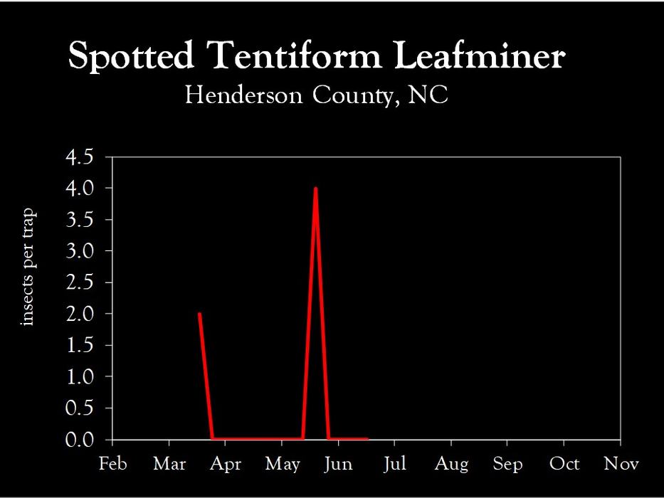 Chart showing insect population trends