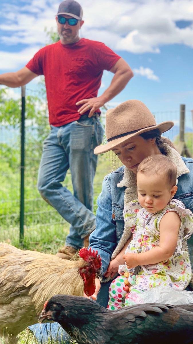 Vacationer Supported Agriculture (VSA) connects farmers to tourist through NC State Extension agitourism.