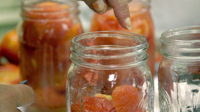 Hand placing peeled tomatoes into a glass canning jar