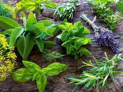 Fresh Herbs