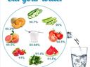 Images of food high in water content and the percentage of water each food provides.