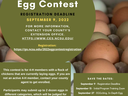 Egg-Cellent Egg Contest Flyer