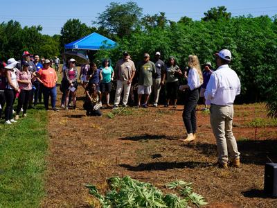 People standing in a fiber hemp field listening to a speaker