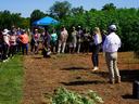 People standing in a fiber hemp field listening to a speaker