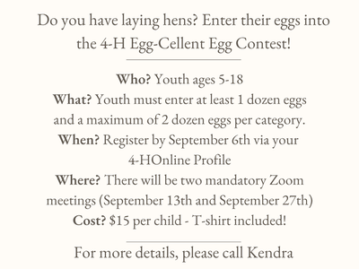 eggcontest