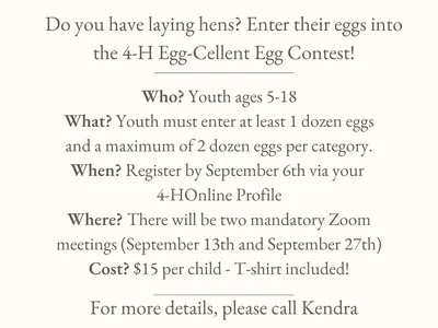 eggcontest